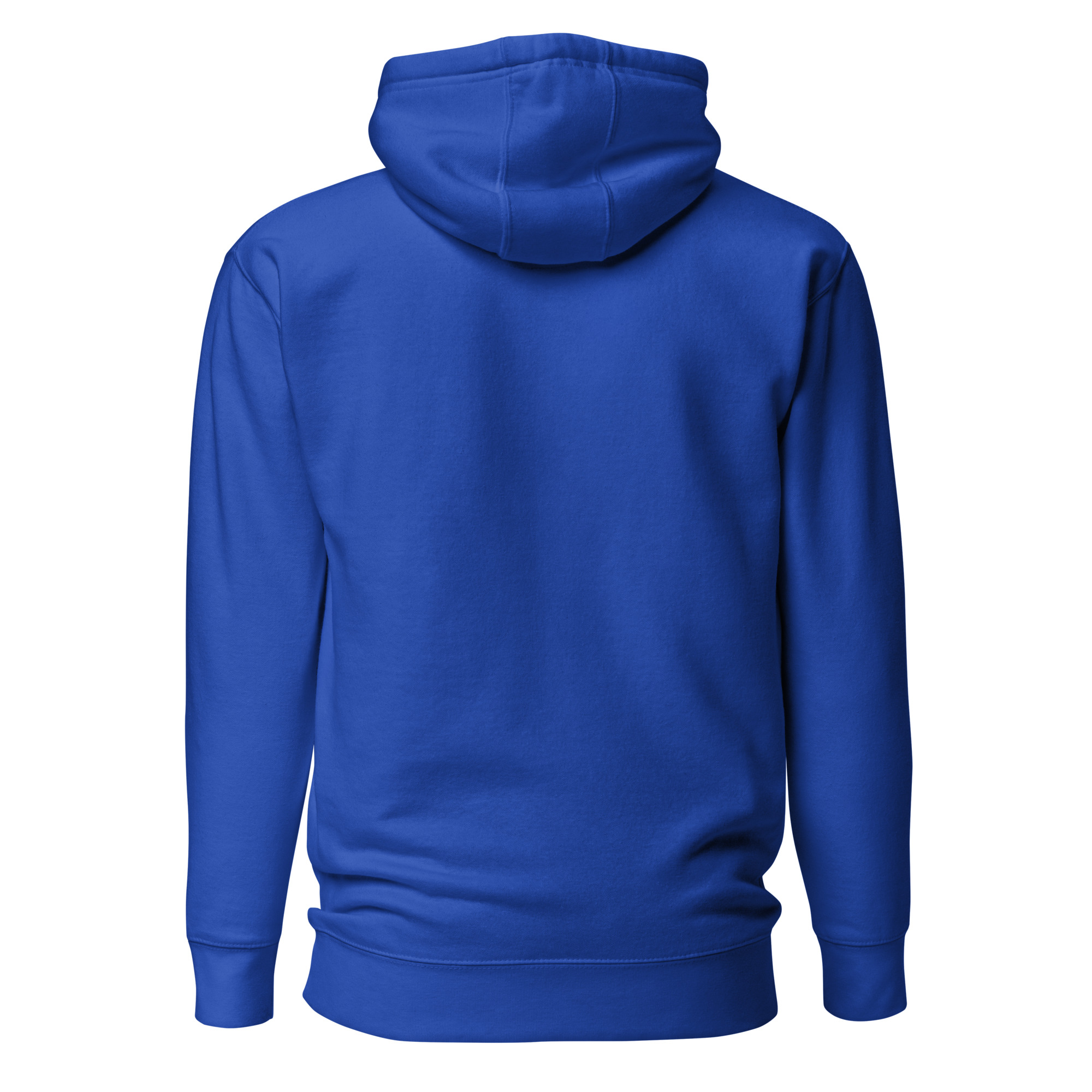 unisex-premium-hoodie-team-royal-back-6634e8f6d48f3.jpg